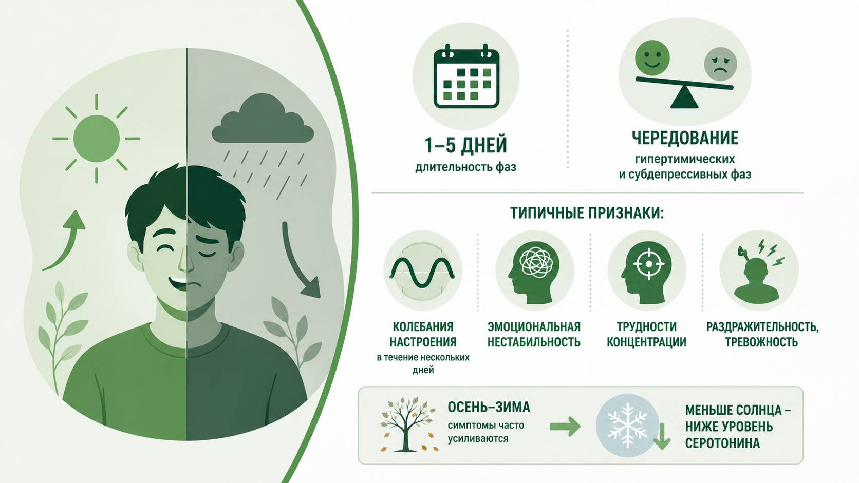 Инфографика с основными симптомами циклотимии: чередование гипертимических и субдепрессивных фаз, колебания настроения, эмоциональная нестабильность, трудности концентрации, раздражительность и тревожность.