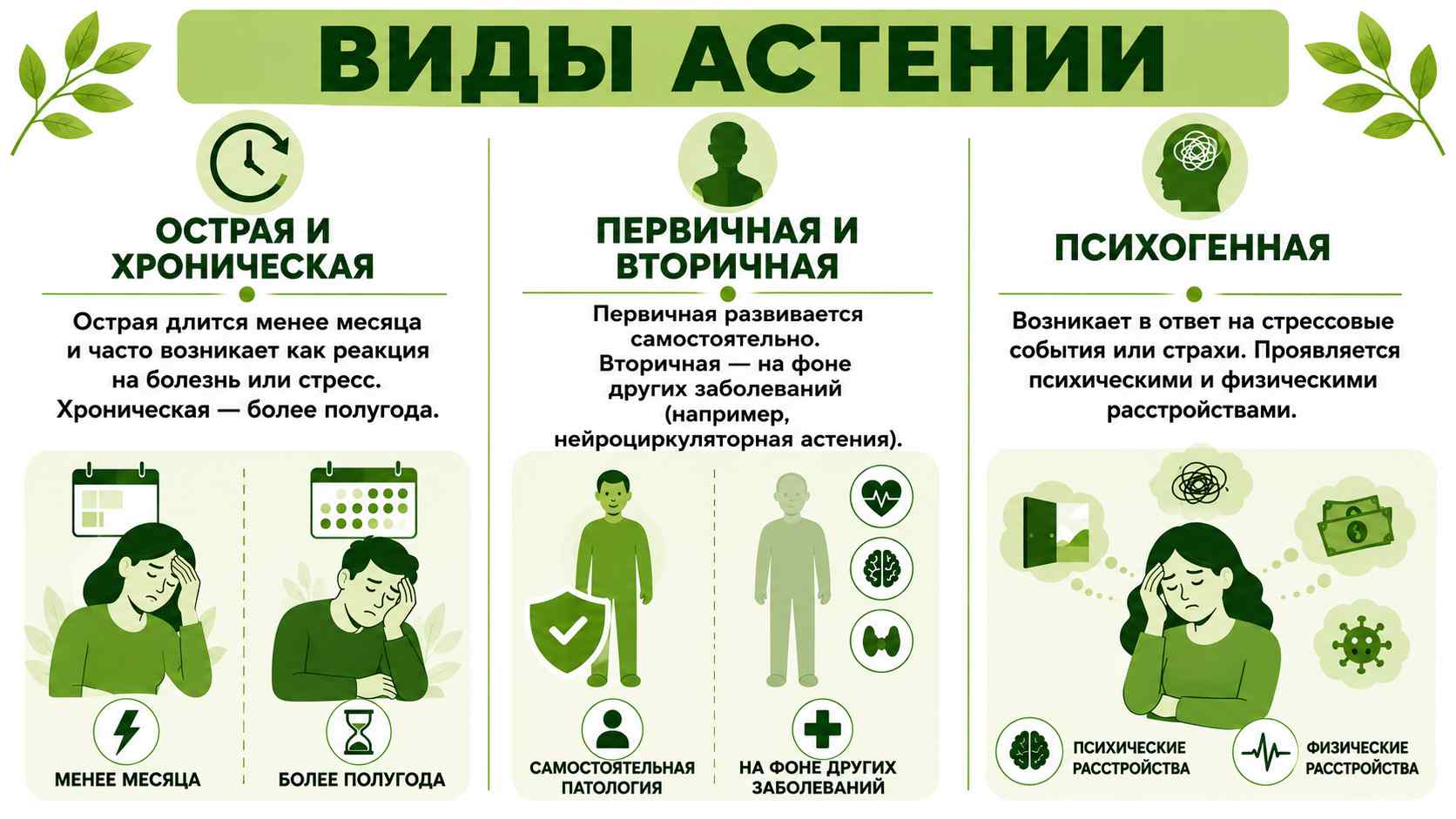 Инфографика с основными видами астении: острая и хроническая, первичная и вторичная, психогенная астения с кратким описанием особенностей каждой формы.